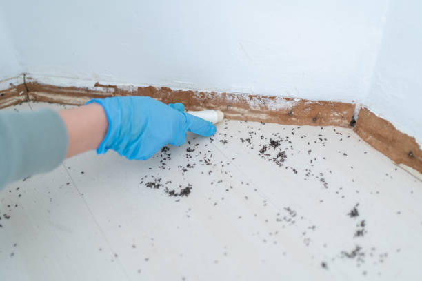 Best Pest Inspection Near Me  in Frederick, CO